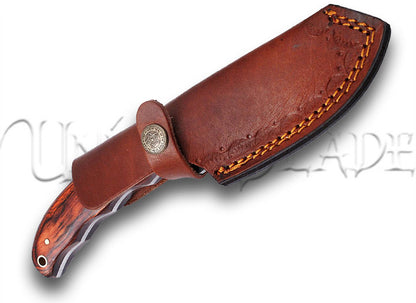 Barracuda Full Tang Gut Hook Outdoor Hunting Knife